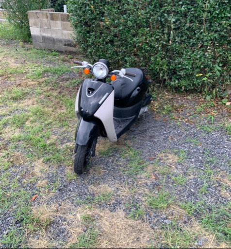 AF67トゥデイ　原付　バイク　50cc   車体　本体