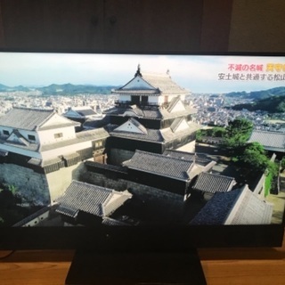 三菱 LCD-A50RA2000 50型 4K液晶テレビ 2020年製 assurwi.ma