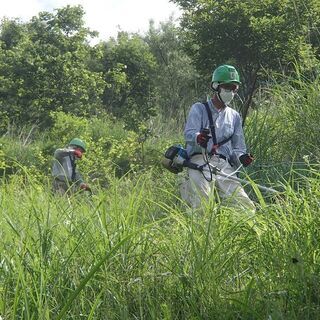 今だけ！◆（急）斜面の草刈お任せ下さい！