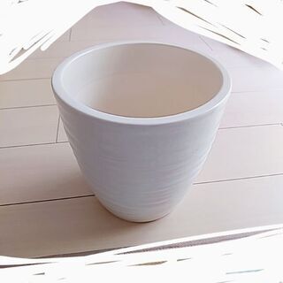 鉢 白 新品 インテリア ガーデニング 陶器