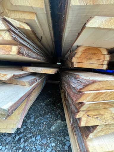 ひのき 2021年1月伐採 材木 木材