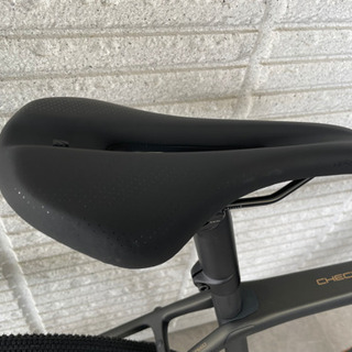 TREK Checkpoint sl5 2021 サイズ54