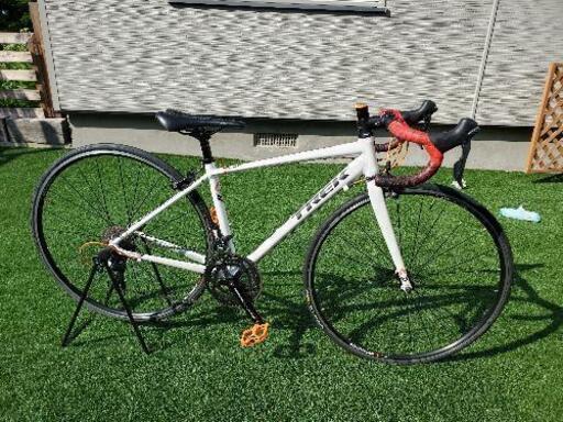 TREK トレック　LEXA SL  size47