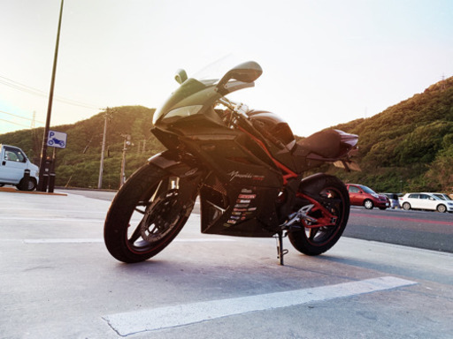 メガリ250R