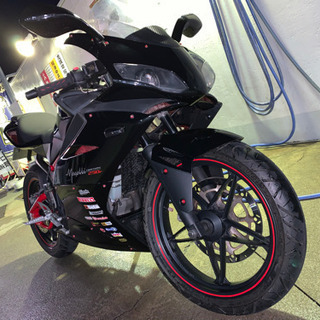 メガリ250R 【公式通販】