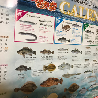 【ネット決済】魚2021カレンダー