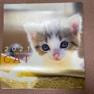 子猫のカレンダー