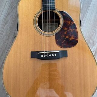 ASTURIAS D.CUSTOM with L.R.Baggs DUAL SOURCE