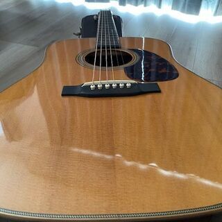 ASTURIAS D.CUSTOM with L.R.Baggs DUAL SOURCE