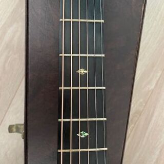 ASTURIAS D.CUSTOM with L.R.Baggs DUAL SOURCE