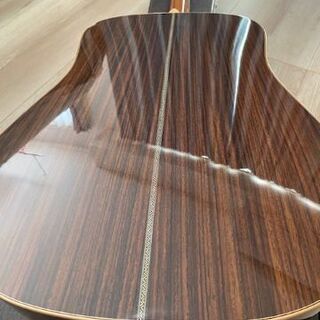 ASTURIAS D.CUSTOM with L.R.Baggs DUAL SOURCE