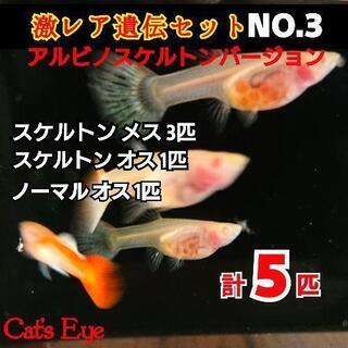 【完売御礼(*^^*)】【Cat’s Eye Produce】お...
