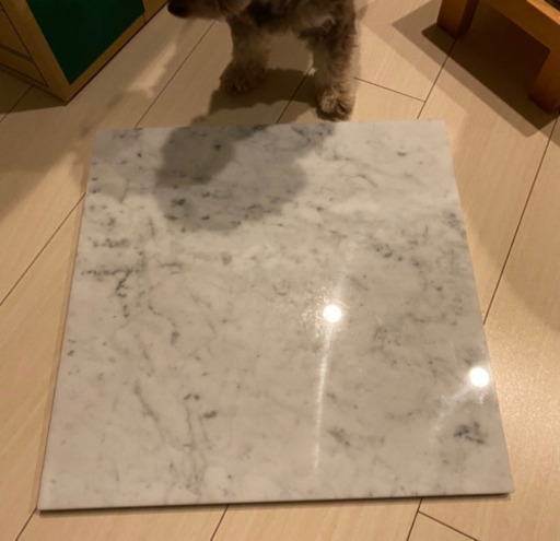 犬 ひんやりシート 大理石 Sae 神田のカーペット マット ラグの中古あげます 譲ります ジモティーで不用品の処分