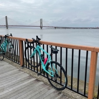 ビアンキスプリントDISC2020モデル　53サイズ(内容修正)