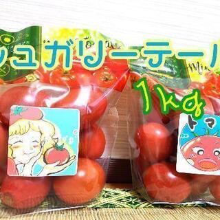 【ネット決済・配送可】【小売OK 1袋から】ミニトマト 1kg ...