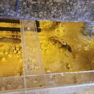 アクリル水槽 90㎝ 上部フィルター付き 