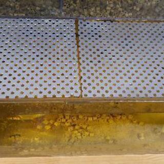 アクリル水槽 90㎝ 上部フィルター付き 