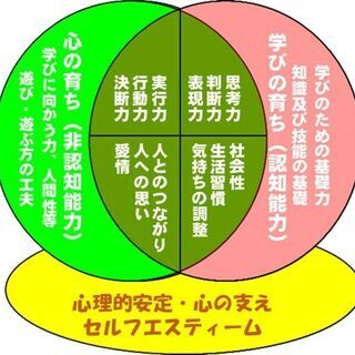 遊戯療法（プレイセラピー）を発達支援に活かしていくためのオンライン勉強会 − 奈良県