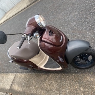 激安！ホンダ ジョルノ AF70 中古車
