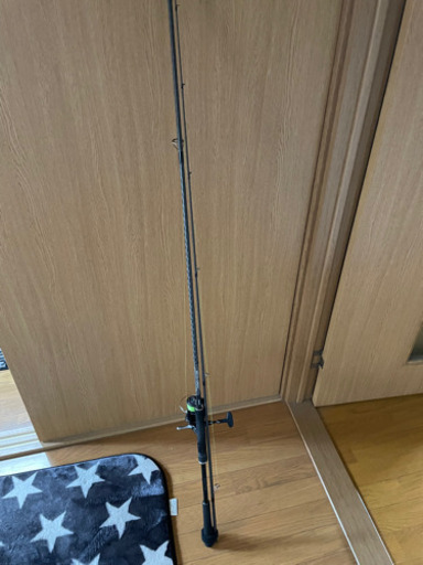 シーバススピニングタックル
