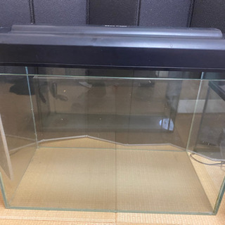 水槽6個とライト他諸々まとめて如何でしょうか？