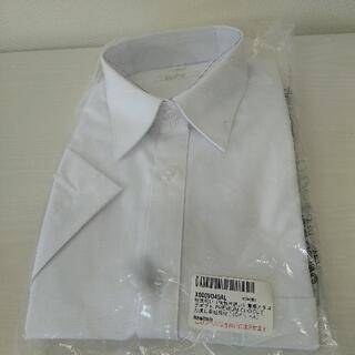 232★未使用品ワイシャツ半袖Lサイズ