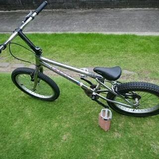 トライアル車  monty