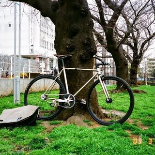 CARTEL BIKE AVENUE LO Sサイズ クローム アベニュー | energysource