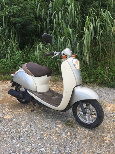 ホンダ　スクーピー　AF55 色グレー