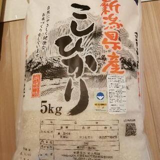 コシヒカリ5キロ　無洗米