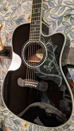 Epiphone（エピフォン） Dave Navarro Signature Epiphone