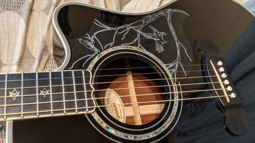 柔らかな質感の Epiphone アコースティックギター デイヴナヴァロ シグ ギター