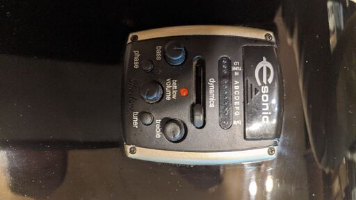 Epiphone（エピフォン） Dave Navarro Signature 美品】Epiphone Dave