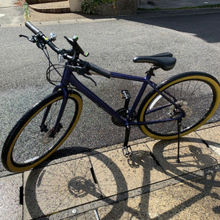 【お話中】ジャイアントグラビエディスク