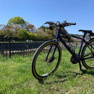 【お話中】ジャイアントグラビエディスク