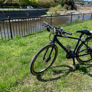 【お話中】ジャイアントグラビエディスク