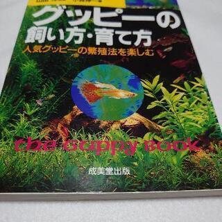 古本 グッピーの飼い方・育て方 (検索用 MST)