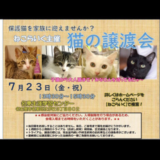 猫の譲渡会！名古屋市名東区