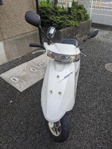 スズキ セピア