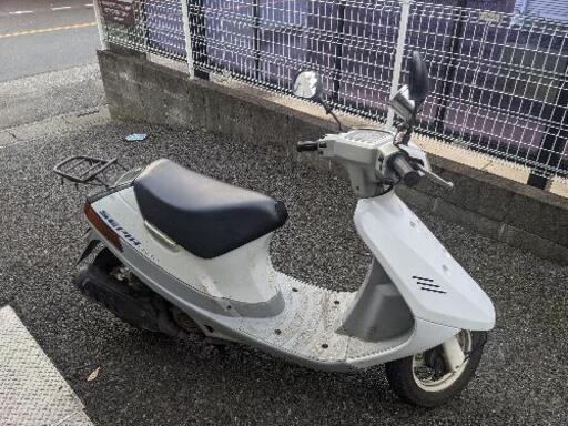 スズキ セピア | camexbolivia.com