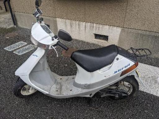 スズキ セピア | camexbolivia.com