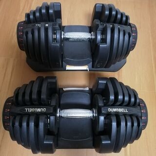 可変式ダンベル片方