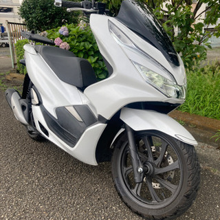 神奈川 PCX JF81 pcx125 ホンダ HONDA