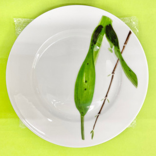 【高級食器】フランス製☆レイノー/RAYNAUD ベルデュラス