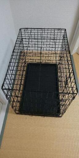 中型 猫ゲージ