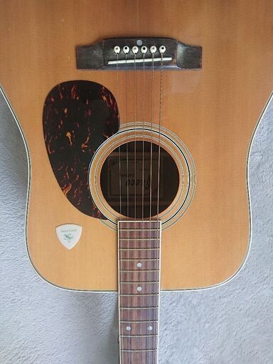 激鳴り アコースティックギター 激鳴り K garageグリーンサンバースト