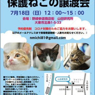 保護猫の譲渡会 2021年7月18日(日)12時〜15時 野崎参...
