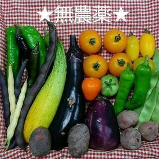 【ネット決済】★無農薬★16種の野菜セット