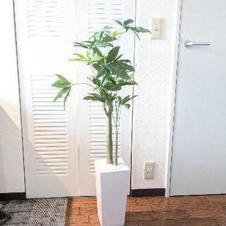 【ネット決済】美品　パキラ　観葉植物　フェイク
