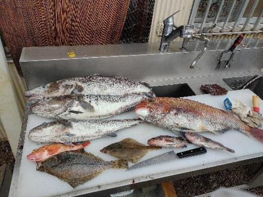 魚捌きます 吉川淳一 浜の宮のその他の助け合い ジモティー